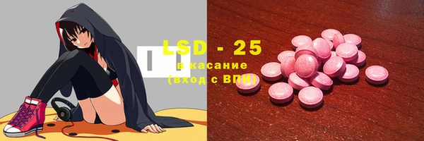 ГАЛЛЮЦИНОГЕННЫЕ ГРИБЫ Осинники
