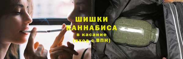 ГАЛЛЮЦИНОГЕННЫЕ ГРИБЫ Осинники