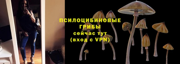 дживик Осташков