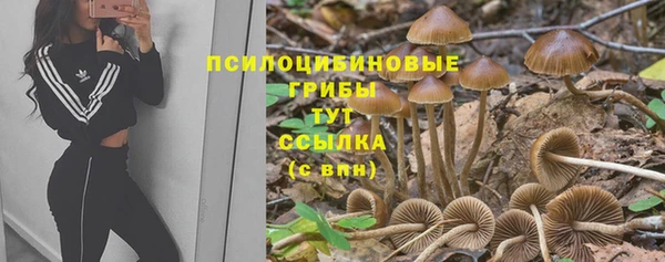 тгк Остров