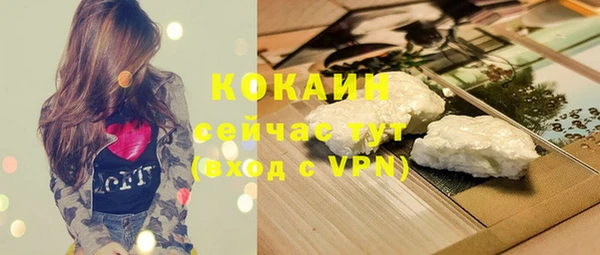 ГАЛЛЮЦИНОГЕННЫЕ ГРИБЫ Осинники